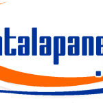 logodecintalapanecos
